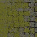 8341003 moss flintmoss