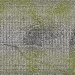 Coral Sea 401