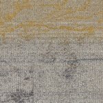 Coral Sea 501