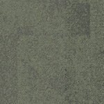Forest 8337203