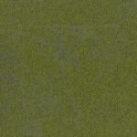 Grass 7150004