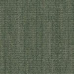 WG100_Forest