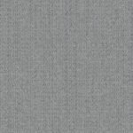 WG100_Stone
