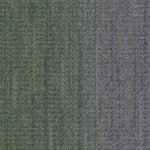 WG200_Charcoal Forest