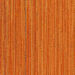 Magma Orange 1D