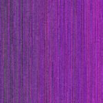 Polar Purple 2C