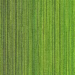 Moss Green 4C
