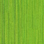 Moss Green 4D