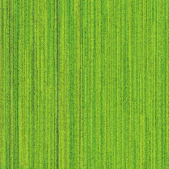 Waterfall-4D.jpg Moss Green 4D - Görsel 1